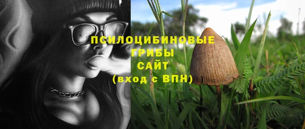 герыч Куйбышев