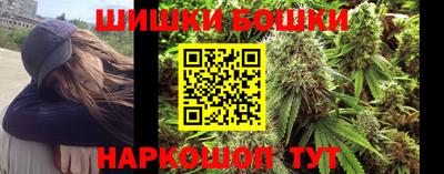гидра Заводоуковск