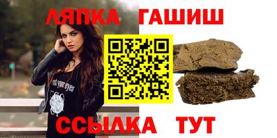 гидра Заводоуковск