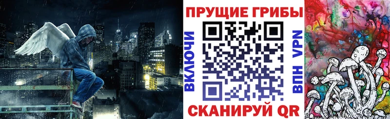Псилоцибиновые грибы ЛСД  где найти наркотики  Конаково 