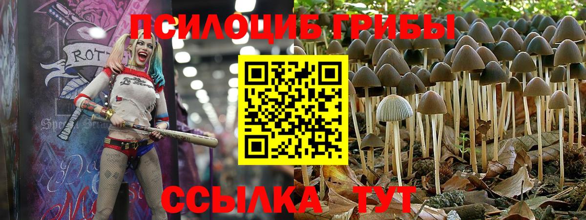 Галлюциногенные грибы Magic Shrooms Конаково