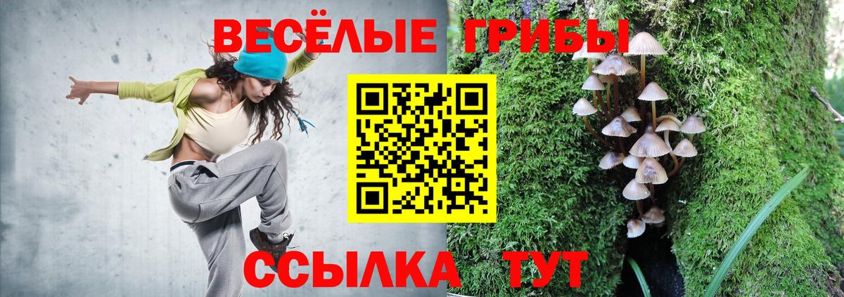Галлюциногенные грибы Psilocybe  Псилоцибиновые грибы Cubensis  Вход с VPN  даркнет сайт  Конаково 